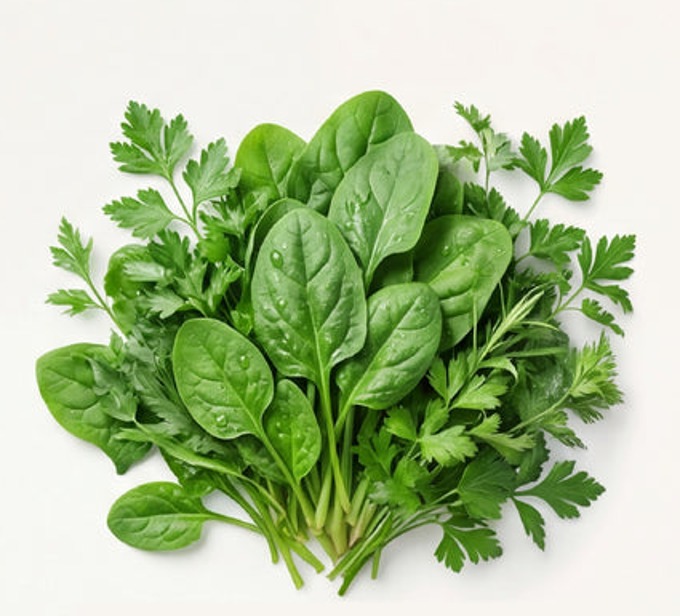 Fresh leafy greens representing chlorophyll