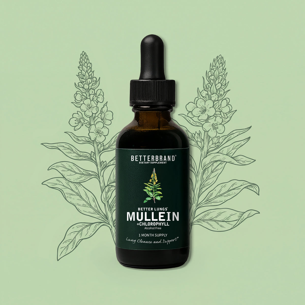 BetterLungs Mullein and Chlorophyll tincture bottle with dropper